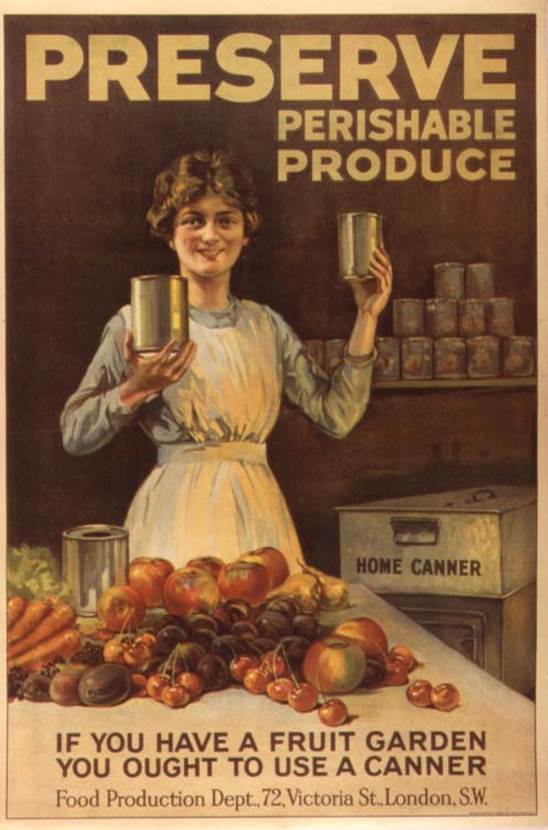 http://web.viu.ca/davies/H482.WWI/poster.Br.women.preserve.canning.WWI.jpg