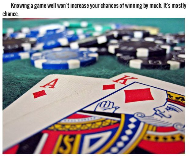 Gambling trivia7 Funny: Gambling trivia