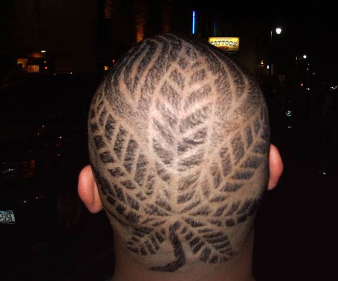 http://slodive.com/wp-content/uploads/2012/08/crazy-hairstyles/weed-hair.jpg