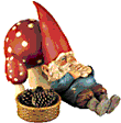 Gnomes graphics