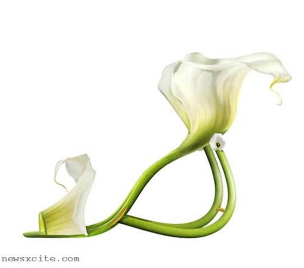 http://cdn3.list25.com/wp-content/uploads/2012/06/Flower-heels.jpg