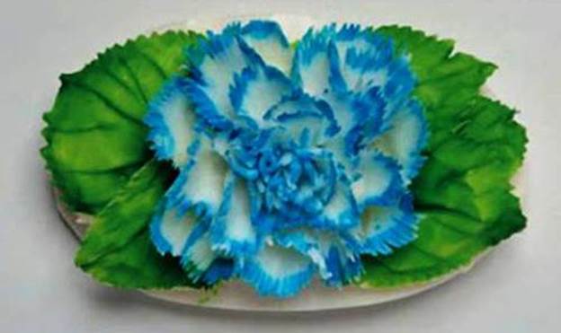 http://cdn4.list25.com/wp-content/uploads/2012/12/22.-Blue-Aroma-Flower-Soap.jpg