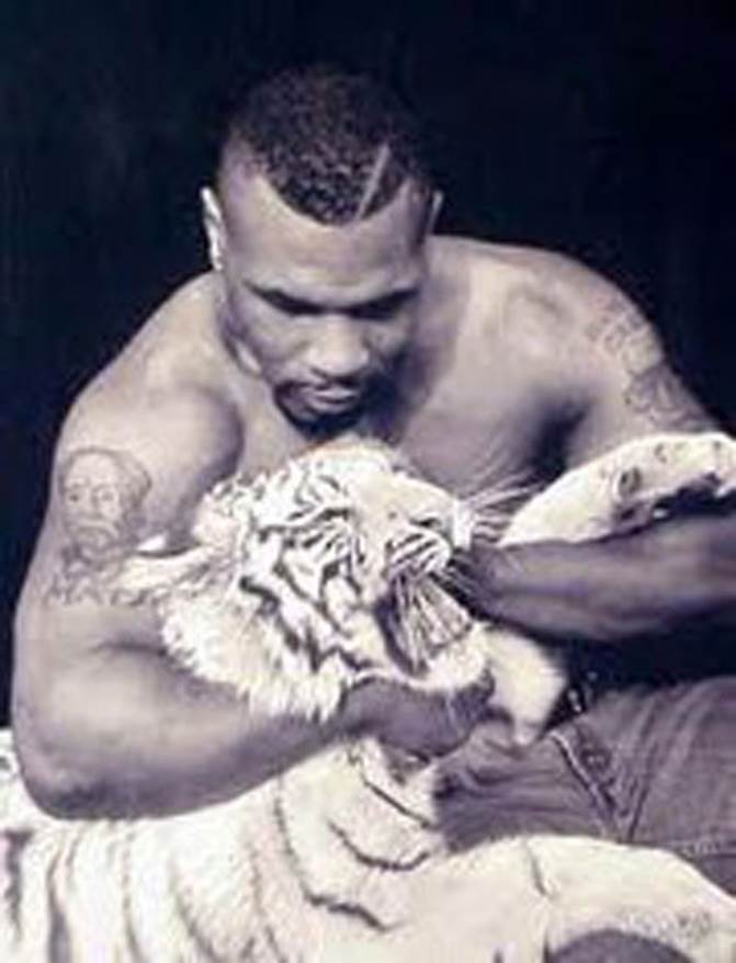 http://cdn3.list25.com/wp-content/uploads/2012/06/Mike-Tyson-tiger1.jpg