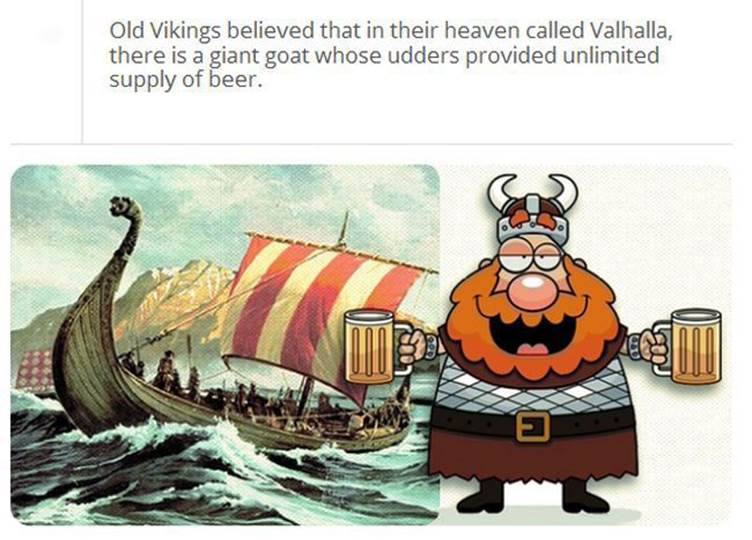Beer facts13 Funny: Beer facts