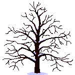 changing seasons of a tree  animation