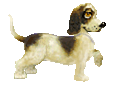 hound dog animations