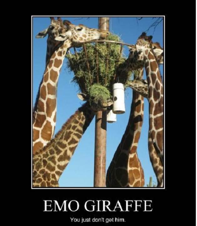 http://cdn.list25.com/wp-content/uploads/2013/04/emo-giraffe.png