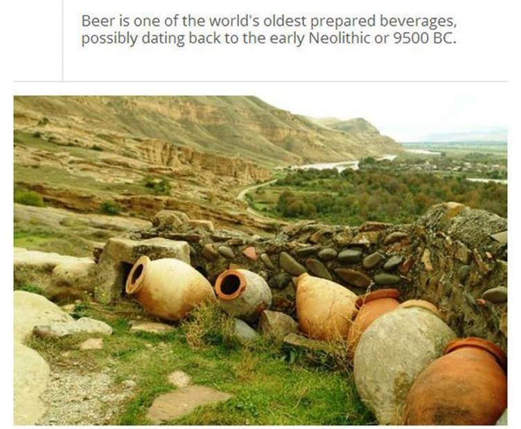 Beer facts20 Funny: Beer facts