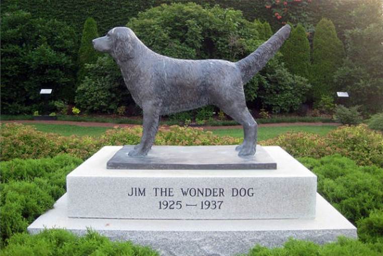Jim the “Wonder Dog”