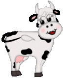  cows   animation