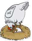 hen on nest with egg animation