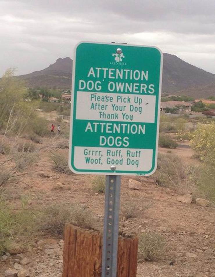 attention dogs