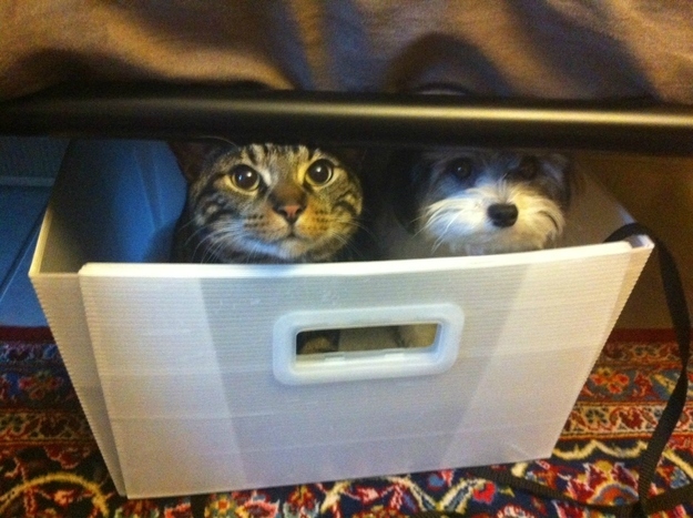 Two friends who are pilot and co-pilot of a filing drawer.