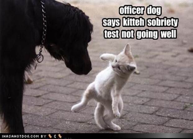 http://motleydogs.com/wp-content/uploads/2011/12/Funny-Dog-Photos-with-Captions-Kitty-not-doing-sobriety-test-well.jpg