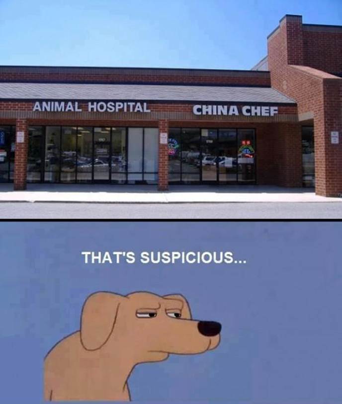 animal hospital