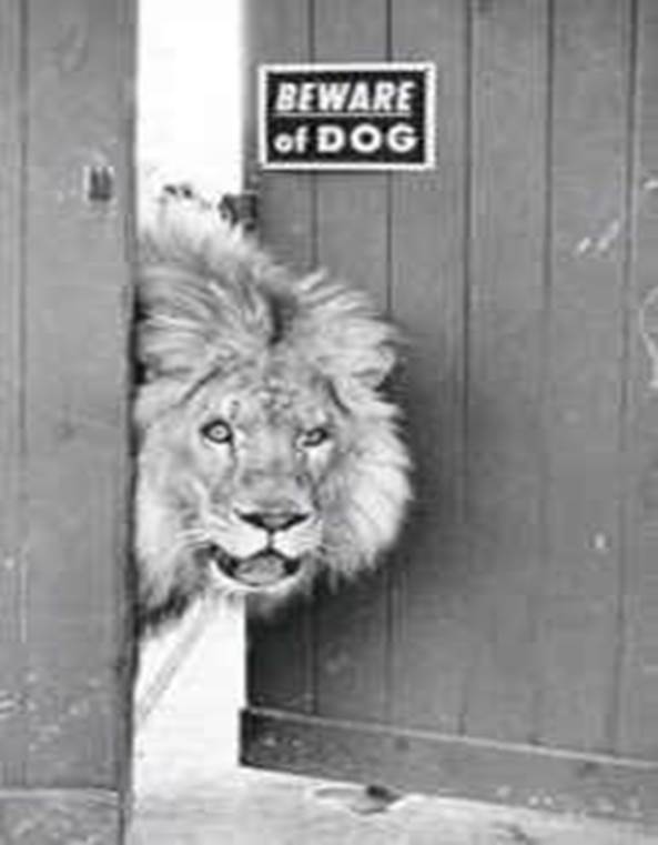 https://tradesman4u.files.wordpress.com/2012/06/beware-of-the-dog-lion2.jpg?w=700&h=
