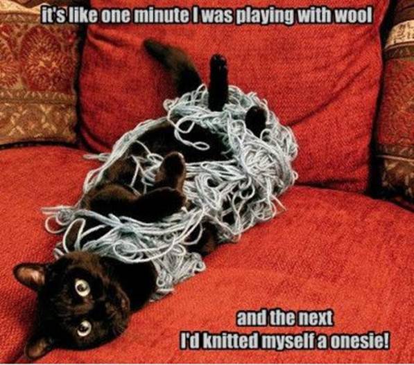 http://www.funniestmemes.com/wp-content/uploads/2014/03/Funniest_Memes_it-s-like-one-minute-i-was-playing-with-wool_17052.jpeg