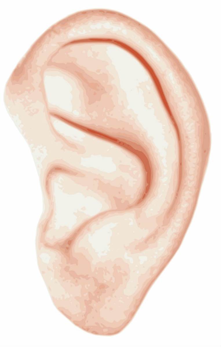 We might consider it gross and clean it out every chance we get but earwax is necessary and serves as a shield for our ears. 