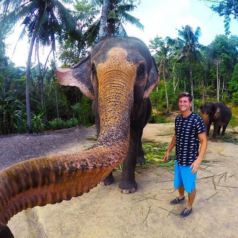 Koh_Phangan_elephant_selfie