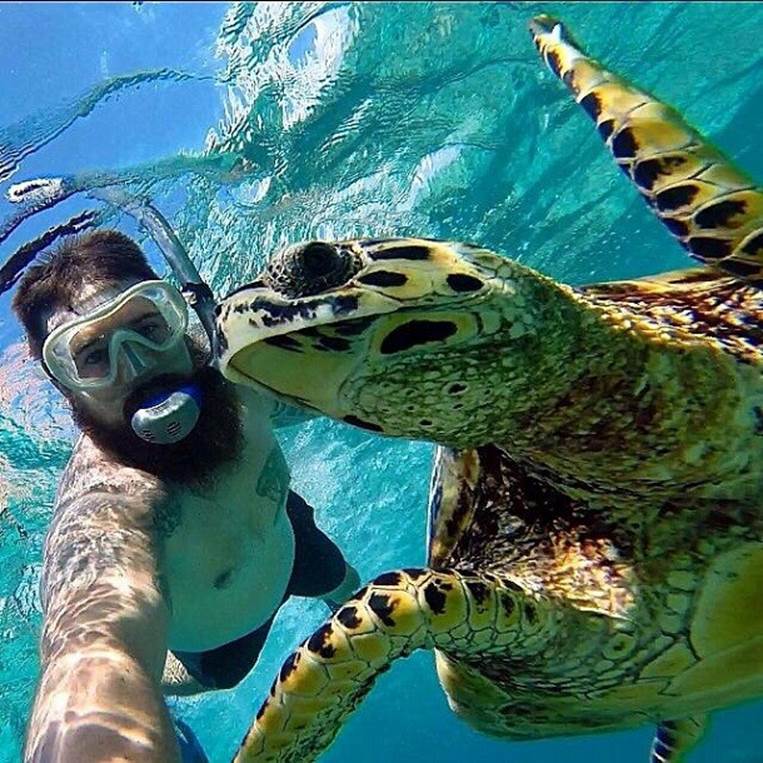 turtle selfie