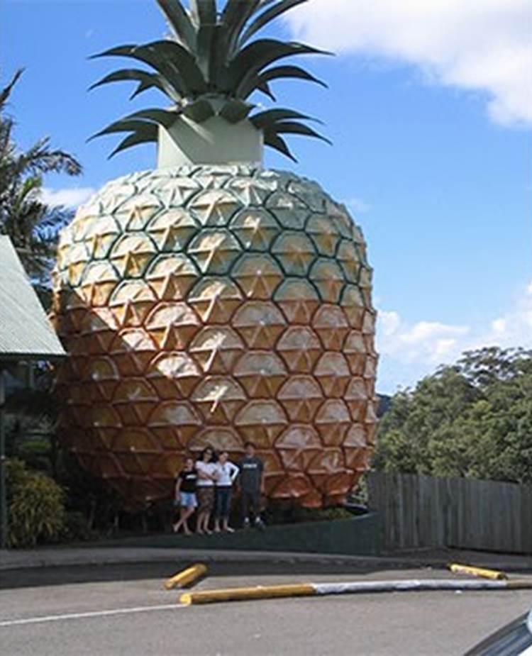 The World's Biggest Pineapple (Australia)