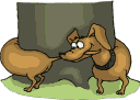 animated gif of dog