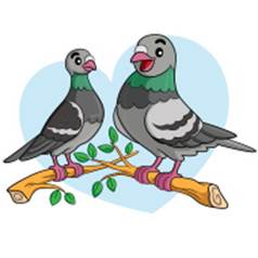http://i.istockimg.com/file_thumbview_approve/43576560/3/stock-illustration-43576560-pigeon-cartoon.jpg