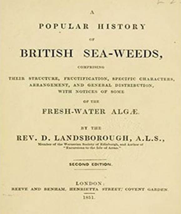 A Popular History Of British Seaweeds