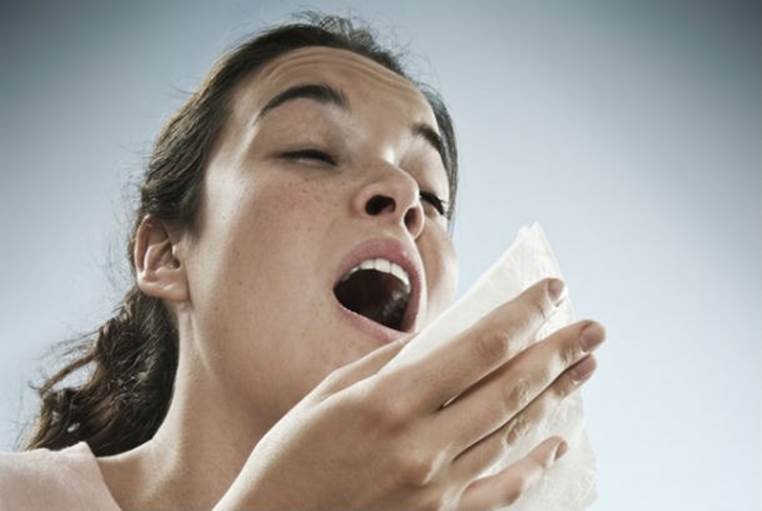 Donna Griffith is credited with the longest-recorded bout of sneezing. It lasted 978 days, from January 1981 to September 1983.