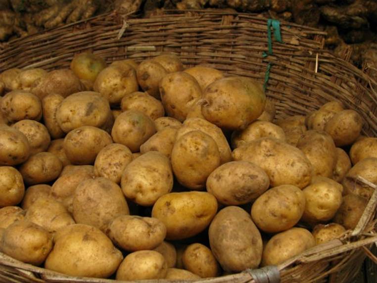 Potato Industry Scholarship