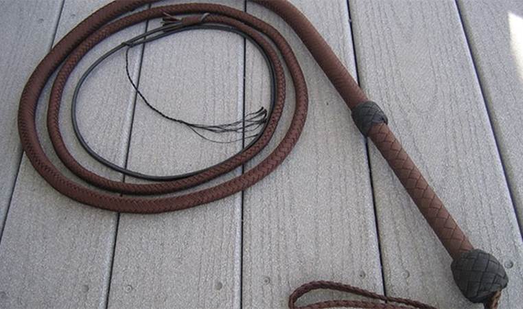 The bullwhip is the first man made device to break the sound barrier