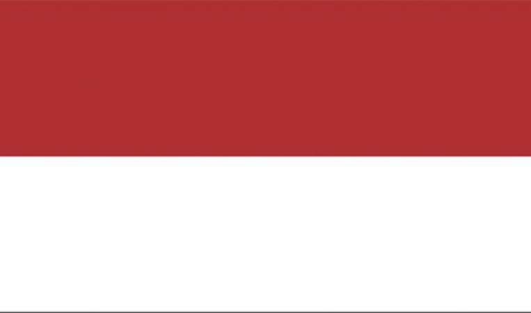 Monaco and Indonesia have identical flags except for the dimensions (Monaco's flag is narrower)