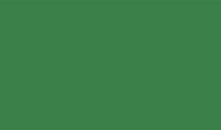 From 1977 to 2011 the flag of Libya was the only plain flag in the world (green)