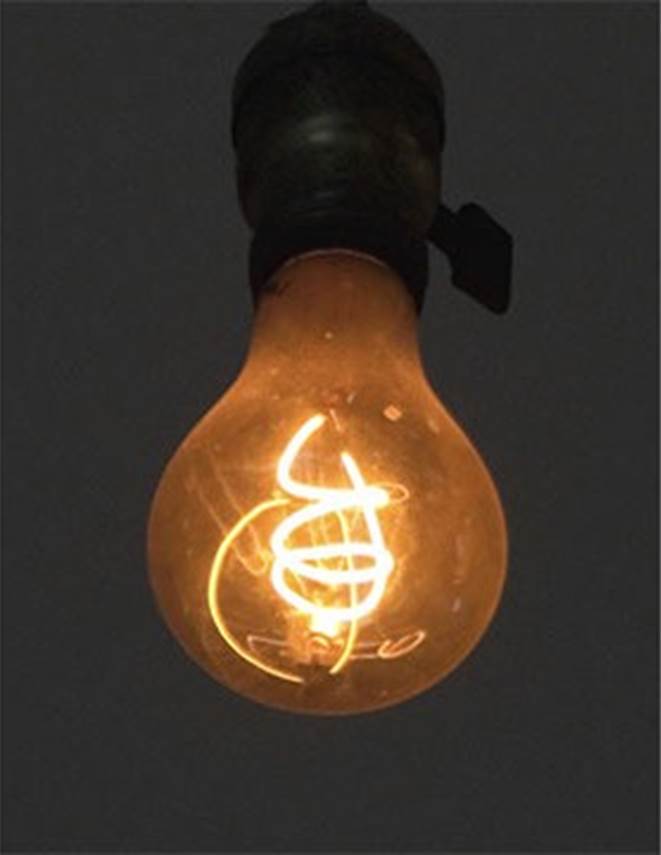 The Centennial Lightbulb in California is the longest burning lightbulb. It has been on since 1901! (With a few interruptions during power failures)