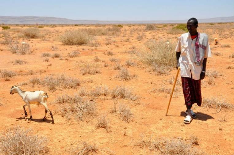 The 2011 East Africa Drought