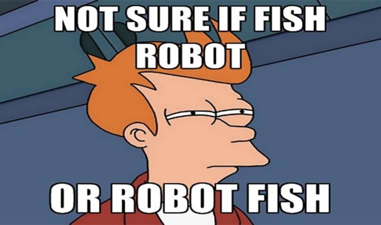NYU performed an experiment with a robotic fish. The fish was actually accepted by other fish and even became their leader!