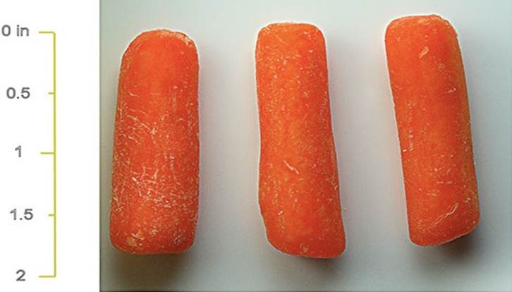 Baby carrots aren't miniature carrots. They're cut from the remains of ugly carrots that couldn't be sold.