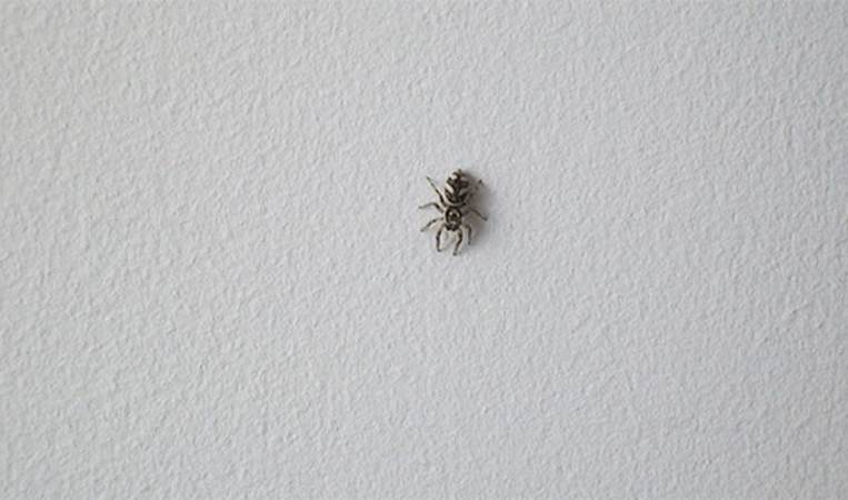 If you are scared of spiders then you are more likely to find a spider in your room. This is simply due to the fact that someone who isn't afraid of spiders might never notice that there was even a spider near them.