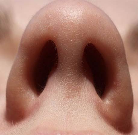 Your nostrils take turns breathing. In something called the nostril cycle, one of your nostrils will be more open for a period of time after which they will switch.
