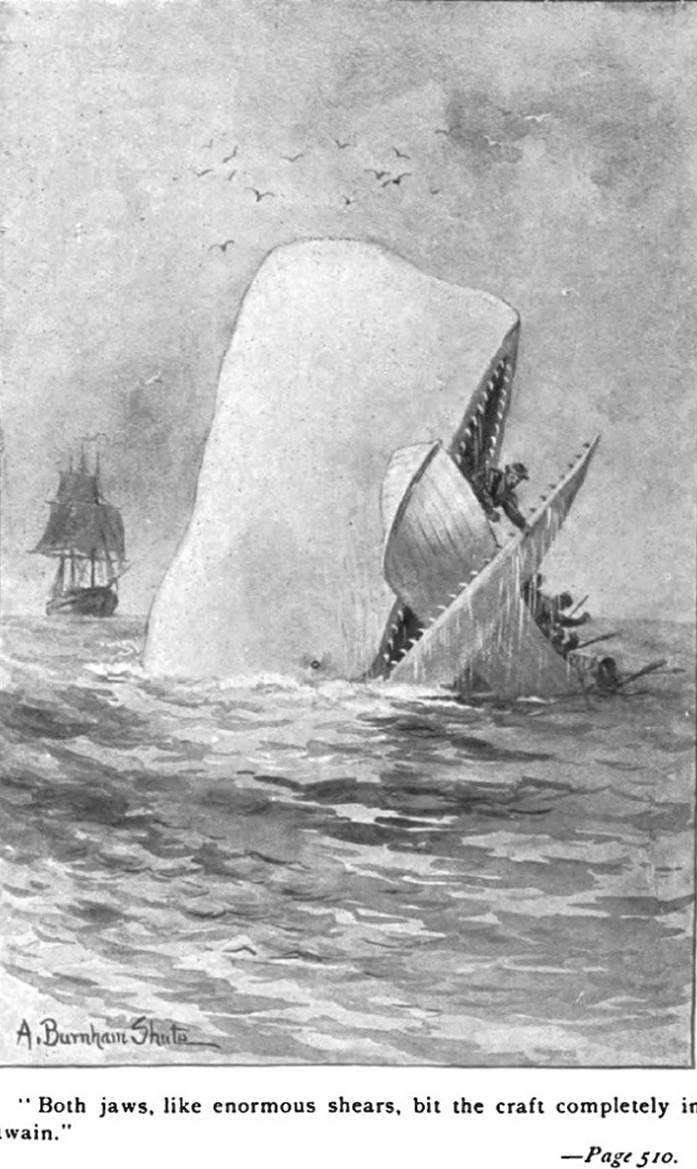 Moby_Dick_p510_illustration