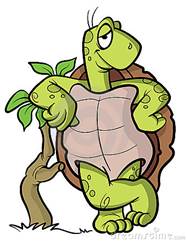 Turtle Or Tortoise Cartoon Illustration Stock Photos - Image: 11764643