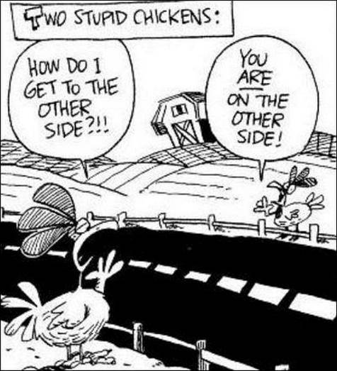 http://jokideo.com/wp-content/uploads/2013/07/Funny-cartoon-Two-stupid-chickens.jpg