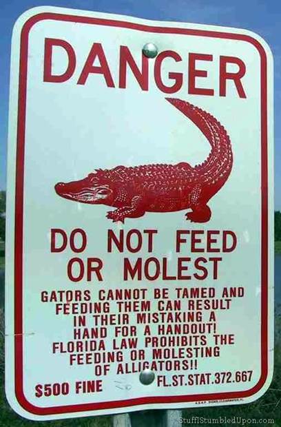 http://www.stuffistumbledupon.com/wp-content/uploads/2012/07/do-not-feed-or-molest-alligators-gators-meme-funny-signs-funny-sign-meme-fun-lol-lulz-pics-pictu.jpg