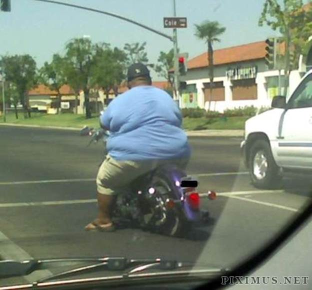 http://funny-pics-fun.com/wp-content/uploads/Funny-Motorcycle-Problems-With-Weight-4.jpg