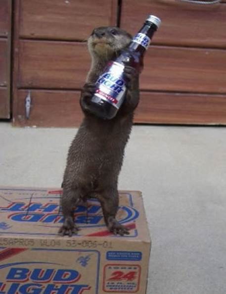 http://cutelaughs.com/Funny_Advertisements_Pictures/have_a_bud_light.jpg