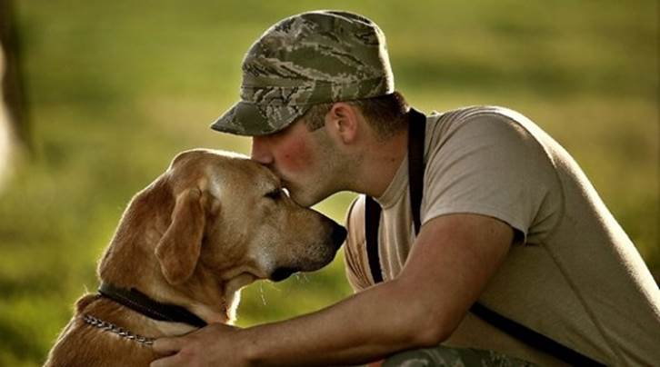 http://www.allpetnews.com/wp-content/uploads/2011/12/soldier-and-dog.jpg