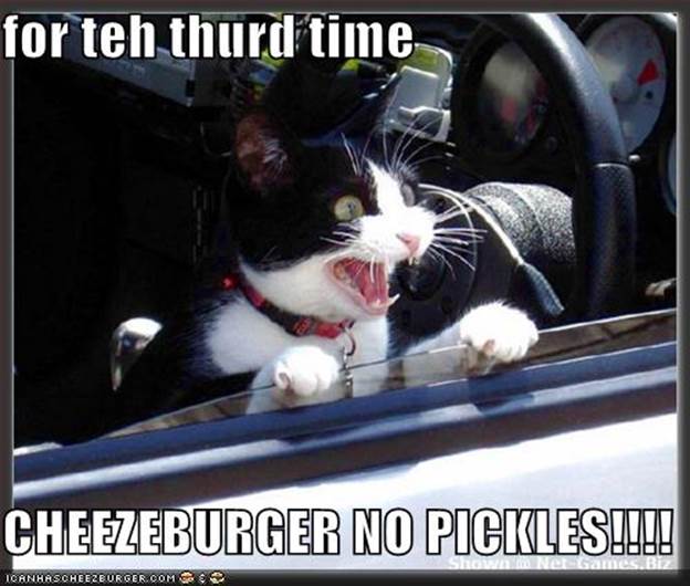 http://jeremyglover.com/blog/wp-content/plugins/lolcatz/images/20080129202209_funny-pictures-cat-drive-thru.jpg