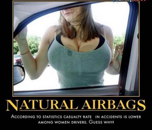 http://jokideo.com/wp-content/uploads/2011/06/natural_airbags.jpg