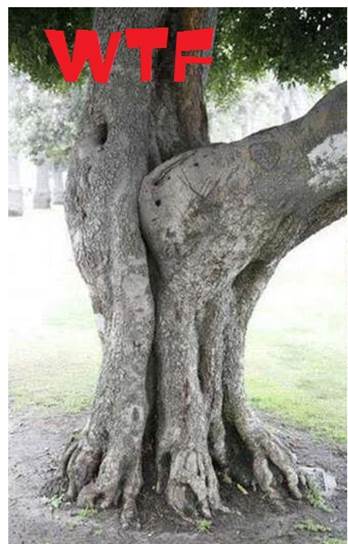 http://espangrish.com/wp-content/uploads/2012/10/Funny-Trees-Dirty-Trees-Nasty.jpg