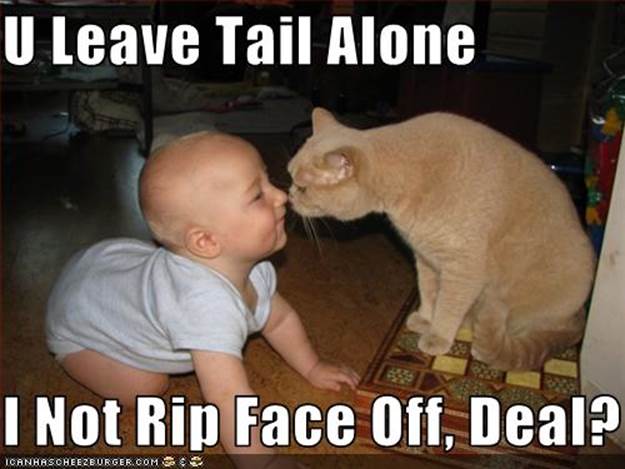 http://archiearchive.files.wordpress.com/2009/11/funny-pictures-cat-makes-deal-with-baby.jpg